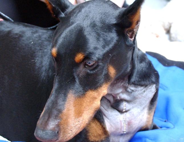 Rockin’ Pneumonia and the Boogie Woogie Flu – Kenny???